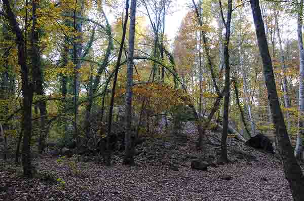 29 - Girona - parque natural de la zona volcanica de la Garrotxa - reserva natural de la fageda d'Jorda
